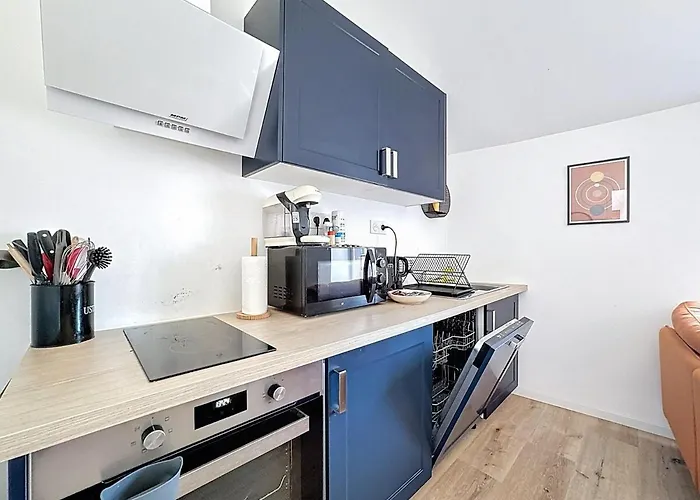 Appartement Joli T1 Cosy&fonctionnel 2personnes Aulnat4